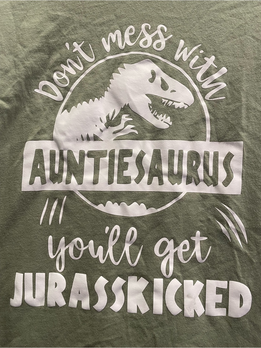 “Don’t Mess with Auntie-Saurus” Women’s Medium Tee Jurassic Park Parody tee - Picture 1 of 3